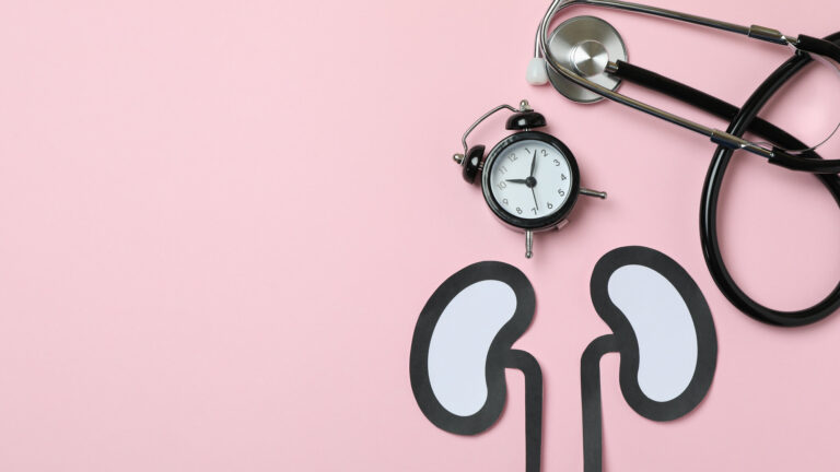 Papierfiguren von Nieren auf einem rosa Hintergrund, daneben eine Armbanduhr und ein Stethoskop.